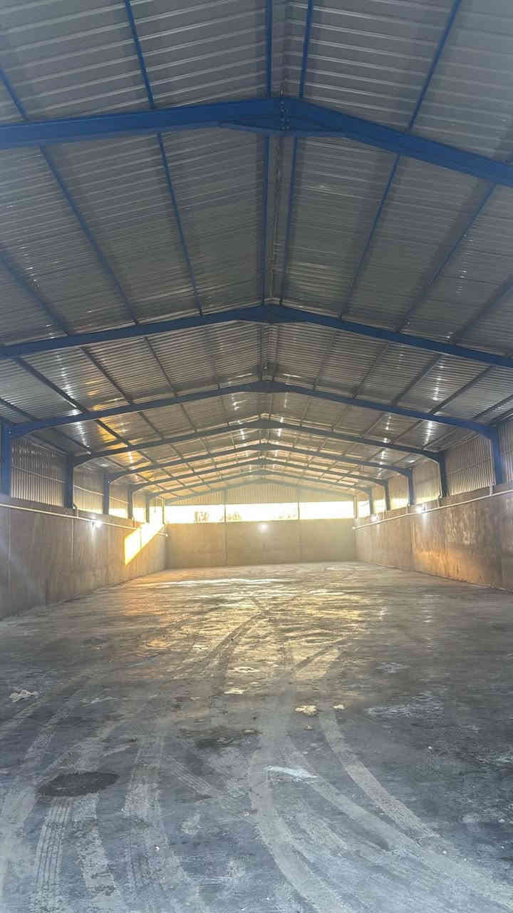 مخازن للإيجار
المنطقة الچمالية مجاور نوارة الأملاك بالضبط على الشارع العام

المساحة 750 م للاستفسار الاتصال على الرقم***********
