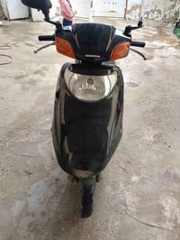 سبيسي ياباني • كوت النوار • مجال قليل