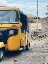 ٢٠٢٠ • كفاله • المجر الكبير