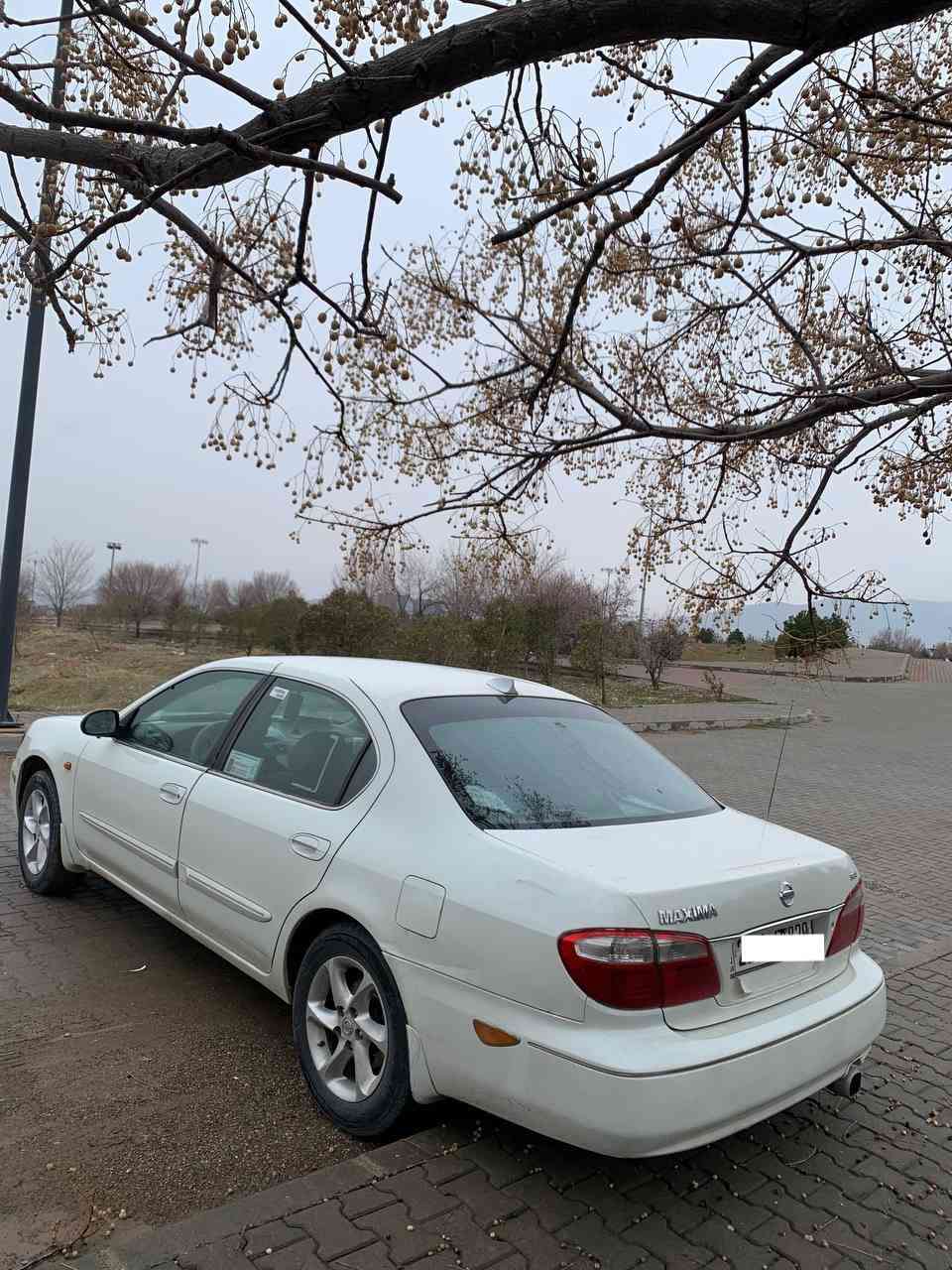 نیسان ماکزیما ✈ V6
مۆدێل ٢٠٠٢ ئیسترا خاص
١ پارچەی بۆیاخە  جگە لەوە هەموو گیانی بە شەرت 
گێر عادییە سەیارەکە 
بۆ زانیاری زیاتر پەیوەندی بکەن بە خاوەنی
***********
