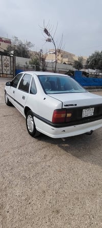 موديل ٩١ • حجم ١٦ • بدون صبغ