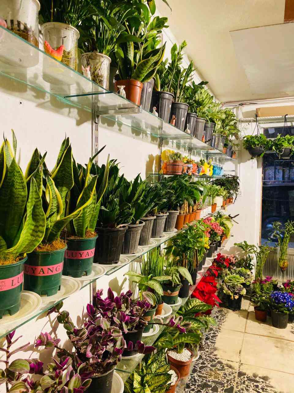 على بركه الله تم وصول وجبه نباتات طبيعيه شي جديد وممطروق 🥰


**إذا كنت صاحب هذا الإعلان وتريد حذفه لأي سبب، رجاءا أرسل رسالة إلى الدعم الفني**