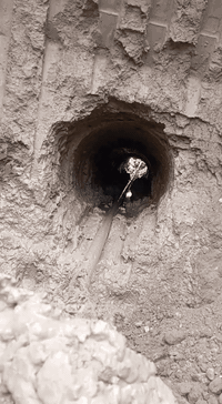 لحفر الابار الارتوازيه ***********
***********
مستعدون الحفر الابار وتعبرات الشوارع وتجفيف المنهولات نعمل في كافه محافضات العراق دقه في العمل وسرعه في الانجاز ونعمل تجفيف الارض الشركات الاهليه والحكوميه نعمل حفر الابار كاقه الاحجام ونعمل حفر يدوي والي
