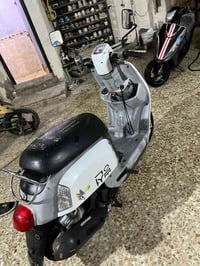 ماكس بوليس • مامفتوح • فيحاء