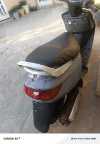 فراشة • فحل • جديدة