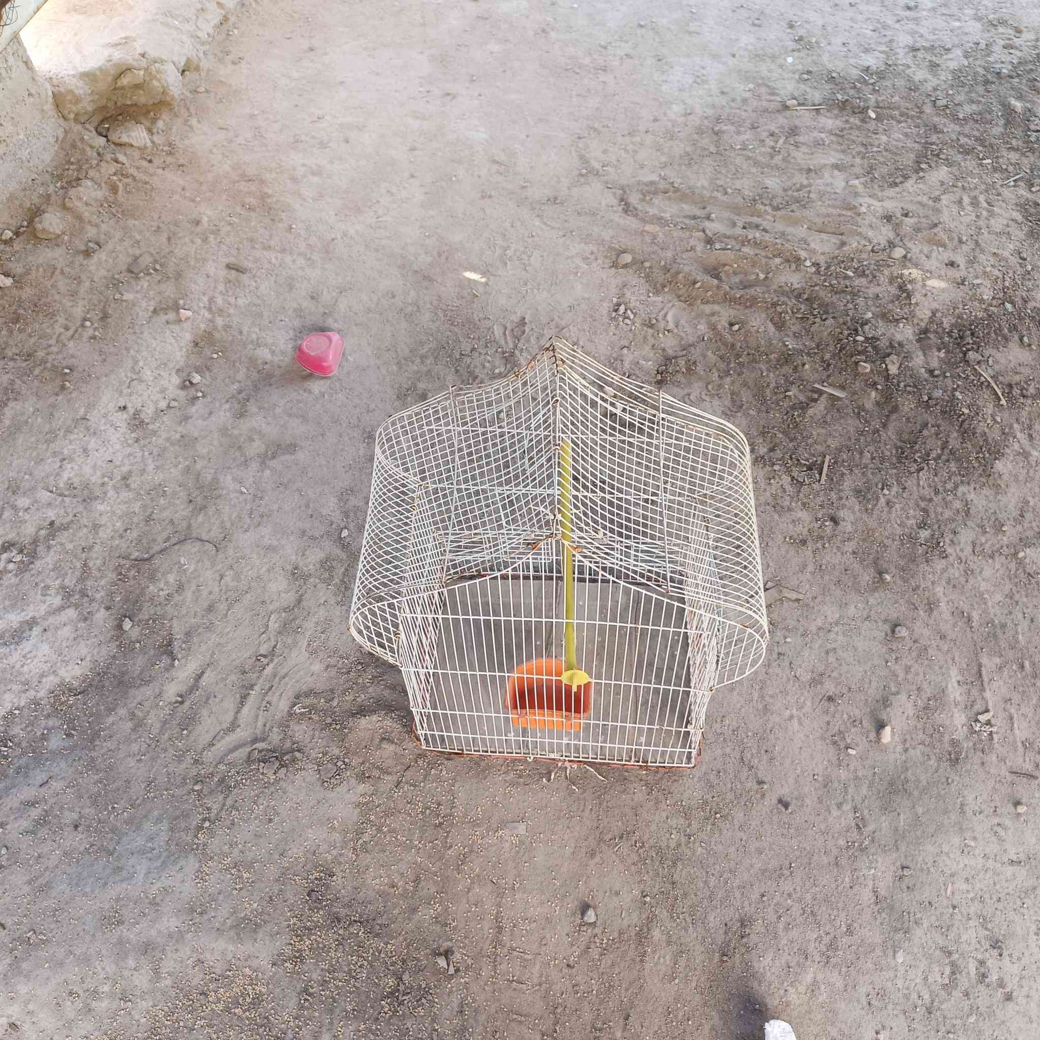 السلام عليكم قفصين للبيع في النجف حلوات ومرتبات بدون الطيور قيم واخذ


**إذا كنت صاحب هذا الإعلان وتريد حذفه لأي سبب، رجاءا أرسل رسالة إلى الدعم الفني**