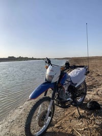 قفاز • اوراق اصولي • كمرك مدفوع