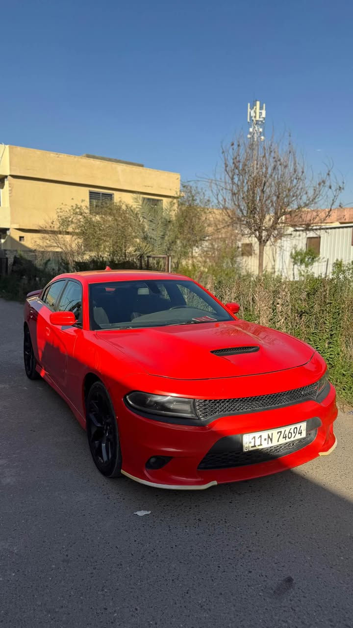 للبيع 
دوج جارجر GT 
موديل 2019
ماشيه 83
اللون برتقالي 🍊
سوبر تراك باك 
شاشه كبيرة كار بلي 
شفتات
نضام صوت الباين 
حادثهه موضح بالصور الجاملغ الامامي مبدل نفس اللون والبنيد مصبوغ

⭕️وبيهه بالعراق حادث جانبي بابين مبدلات نفس اللون وجاملغ خلفي مصبوغ ونص قبغ الجنطه بي كلير بس من فوك 

🔹يعني السياره حاليا بيهه 3 قطع مبدلات بقطع اصليه نفس اللون 
وقطعتين صبغ ونص قطعه كلير 

السياره بدون اير باك مطاك بيهه ولا واحد لا دركه لا دشبول ولا برده كله بلاد

رقم بغداد بأسمي تحويل ثاني يوم 
مكاني بغداد / الاعظمية / سبع ابكار 
رقمي ***********
اعتذر عن المراوس بغداد, العراق
