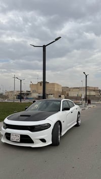 دايتونا • ٢٠١٧ • البصرة الزبير