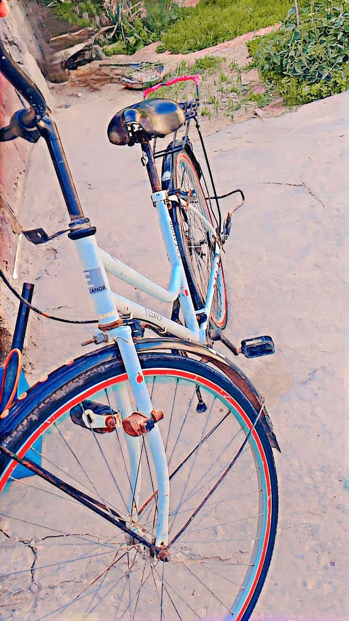 سلام عليكم باسكل للبيع حجم (26) باسكل نضيف و سعرة صدمة ب (95) وبي مجال للشراي و الشراي يجي خاص 💁


**إذا كنت صاحب هذا الإعلان وتريد حذفه لأي سبب، رجاءا أرسل رسالة إلى الدعم الفني**