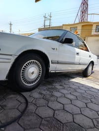 هارتوب • مكينه وكير نضيف • النجف