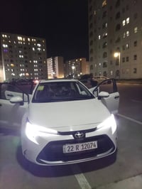 كورلا • ٢٠٢٤ • رقم اربيل