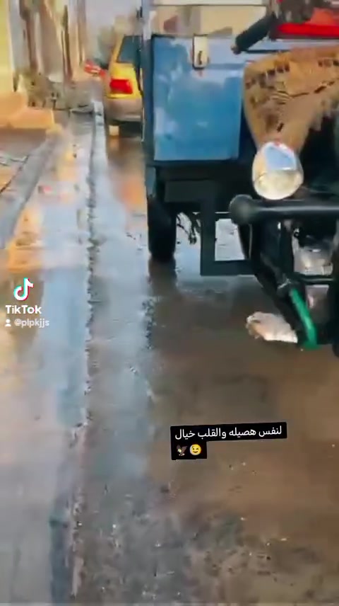 سلام عليكم ستوته للبيع مكان كربلاء طاقه ١٨ مديل 2023 تفاصيل أكثر يتصل ***********
