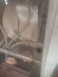 مبردة • ديوانية • حي زيتون