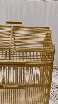 ئه م قه فه سه داره بو فروشتن هيچ كيشه يه كي نيه هيچ عه يبي نيه لوك لوكه ده ست كرد دروستكراوه كي حه زي لي بوو تيل بكا بو نرخ ***********
