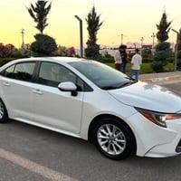 رايد هيج ويل 16/مراوس بويل 15/ 07817343707