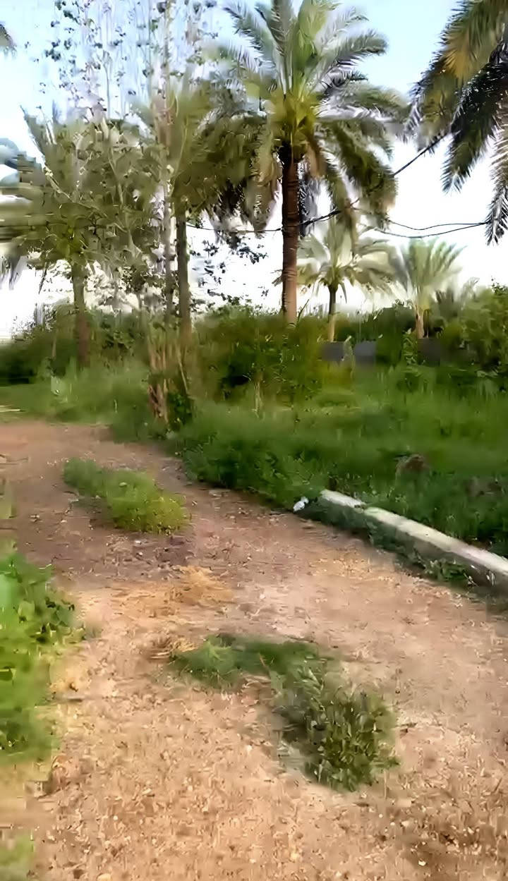 دونم ملك صرف للبيع عنوان بغداد المدائن سلمان باك 
📍 قريب من نهر دجلة (400 متر فقط)
واجهة 32 متر + بستان نزال
🌴 مشجر نخيل وحمضيات
🌳 حدائق مرتبة
🏡 بيت استراحة جاهز
⚡ ماء + كهرباء + كافة الخدمات
📍 موقع هادئ يصلح سكن واستثمار
📞 للحجز والاستفسار: (***********)

#عقارات_المدائن
