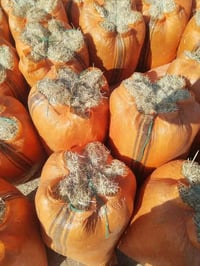 يوجد تبن درجه اولى الزوج مطروح بل مكان ترس درجة ولى السعر  3الف الرقم ...