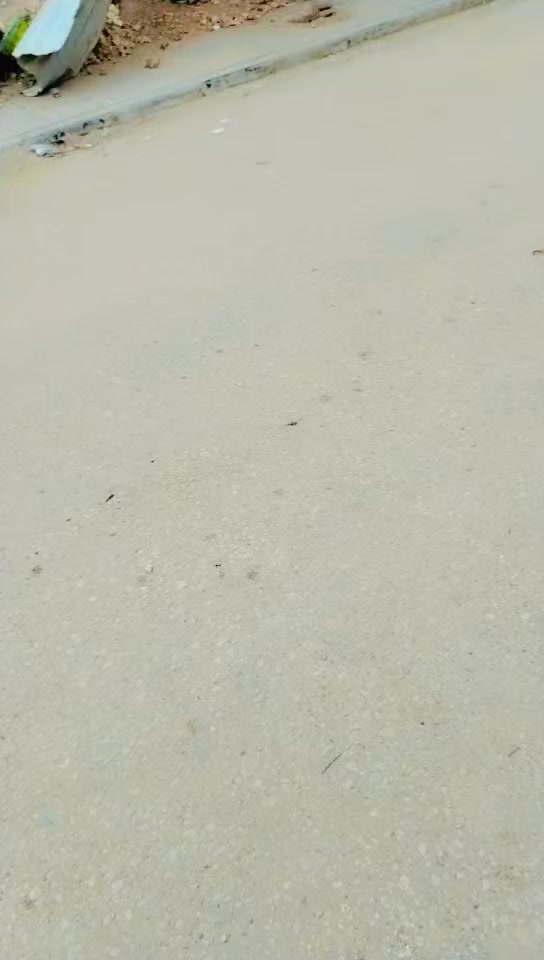 ياالله ياالله ياالله يارزاق
عرصه للبيع المساحه 150 متر
موقع مميز
حي شهيد الصدر طابو صرف
الاستفسار أكثر *********** ومن الله التوفيق للجميع يارب العالمين @إشارة
