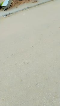 حي شهيد الصدر • ١٥٠م • طابو صرف