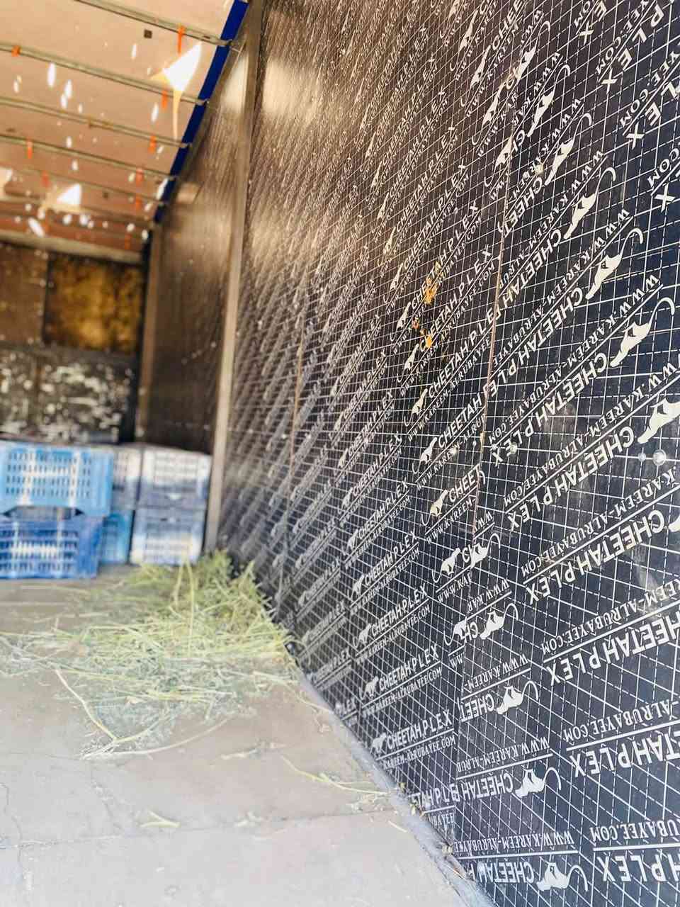 بدي سحال اكتروز شرط درجة اولى نضيف كلش كلش لوك لوك
يشتغل كلشي هذا البدي  ومتعوب علية هذا البدي 
طولة 9.5 المرغوب شاصي كامل و جاملغات وجادر 
 مكاني سامراء تجي وتشوفة وحاضرين 
الاستفسار ‭***********‬ مكلف بالنشر

