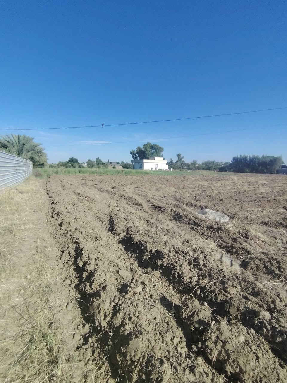سلام عليكم دونم للبيع سند 25 تحويل مباشر متوفر جميع الخدمات من ماء كهرباء خط ذهبي وماء اسالة المكان بغداد ناحية الرشيد التواصل على هاذة الرقم***********
