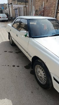 مكفولة • بدون تبخير • جير نضيف