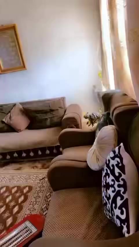 السلام عليكم
بيت مساحته ٦٥ متر
موقعه بغداد الكرخ فلكه شهداء
بيت مرتب ونضيف
وخدماته كامله
وبنص بيوت طابو يعني شارعك ع تبليط
***********
