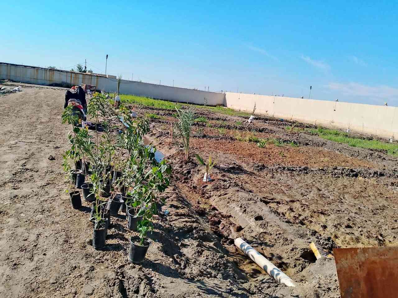 دونم مسيج بلوك مع دنك صب مع مشتمل جاهز للسكن 
مساحه 50في50 حي جوادين بين نزله ثالثه وثانيه 
سعر 100مليون
***********
