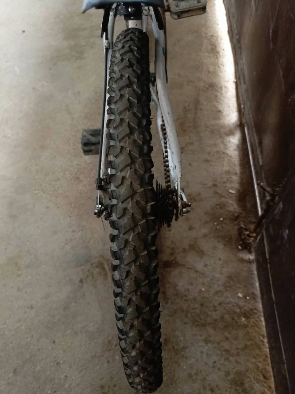 سلام عليكم بايسكل ياباني  لون ابيض جاهز مناقصه شي سعر45 الف مكان الشعله ***********
