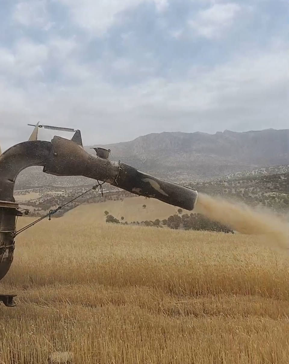 دكاكا البيع 5بلم رقم موبايل ***********
