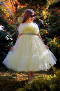 جمله مفرد 07884382920