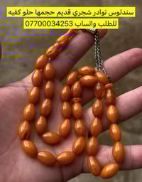 عشاق التميز سندلوس نوادر شجري قديم حجمها حلو كفيه للطلب واتساب 0770003...