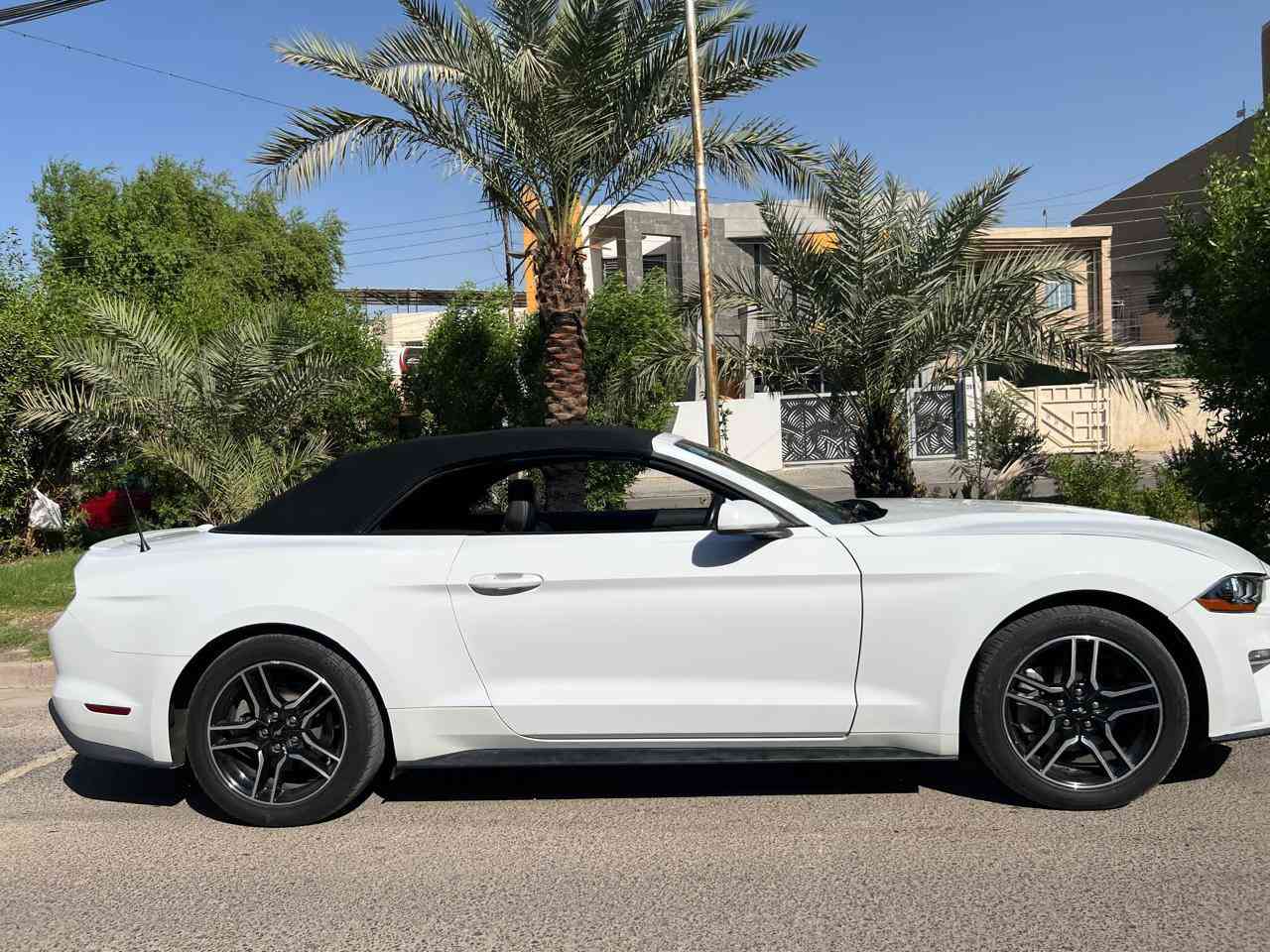 السلام عليكم
موستنك موديل ٢٠٢٣ لون ابيض 
 فول مواصفات قماره كشف 🏎️
محرك 4 سلندر توربو  و كشنات كهربائية وتحكم ستيرن و شاشة +كامره خلفيه 
حادثها بسيط بدون ايرباك 
صبغ بيها بس راس البنيد ورأس الجاملغ 
العنوان : بغداد -  السيديه 
رقم تلفوني للاستفسار واتساب 
***********‬
سعرها 184 ونص 
ترهم مراوس
