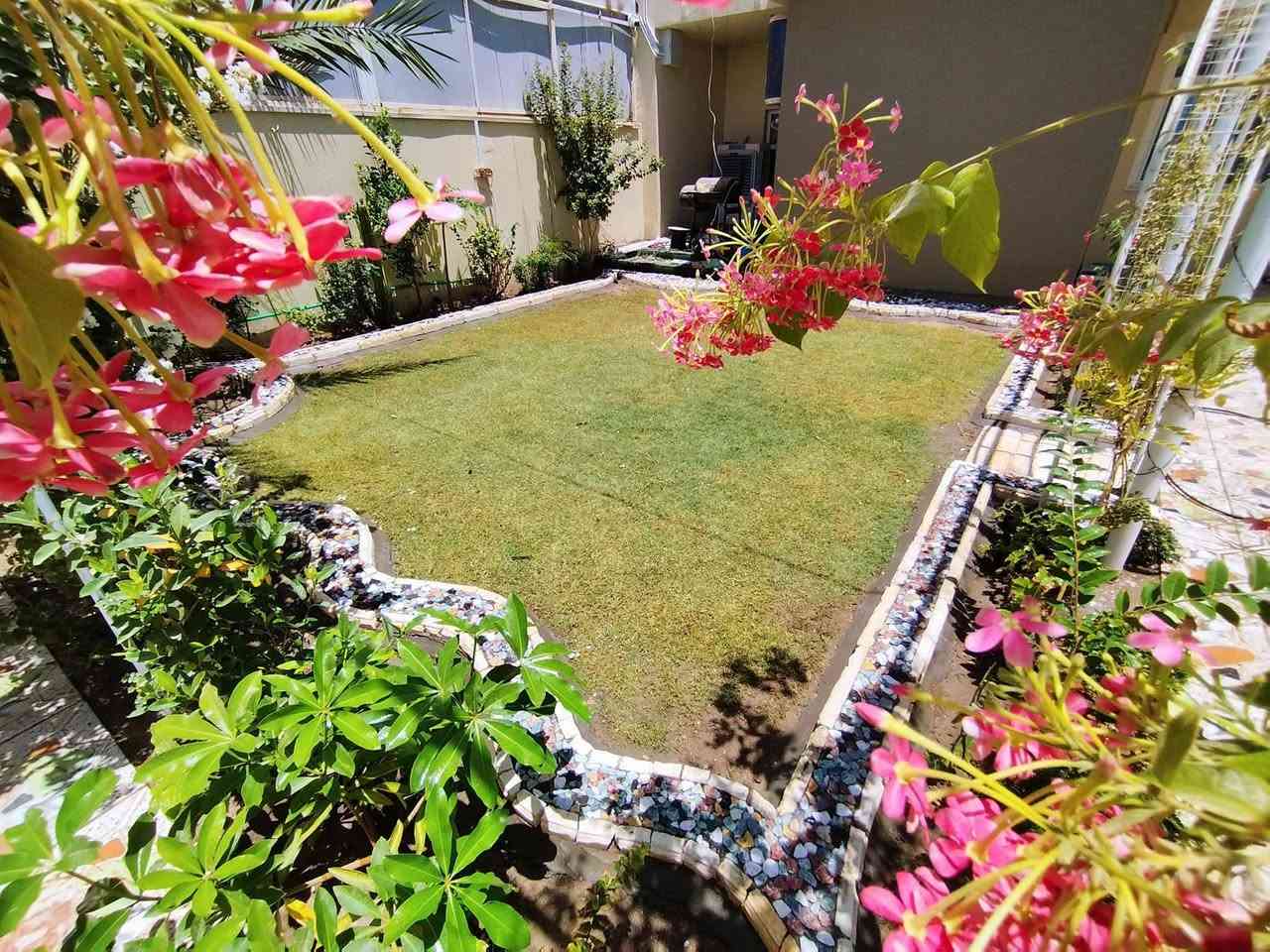 كافه الحداقه اشتغل***********
