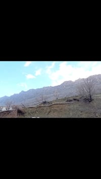 مزرعة للإيجار • مساحات خضراء • قريب وسهل الوصول