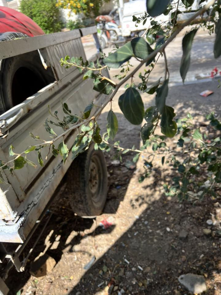 السلام عليكم ستوته لبيع مديل ٢٠١٠سنويه ورقم اسود تريد سنويه تريد كلك  ستوته جاهزه مال شغل توتير جوبلس نكره سلف عوزها ترتيب مكفوله وأنا بخدمت الشراي مكلف بل نشر هاذا رقم موبايل صاحبها ***********
