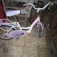 مقاس ١٦ • أصلي • جاهز