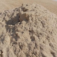 تبن شعير