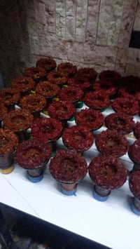 خلفه نراكيل  نضام ساحي شغل مضبوط سكني بغداد متفرغ للعمل  رقمي077155356...