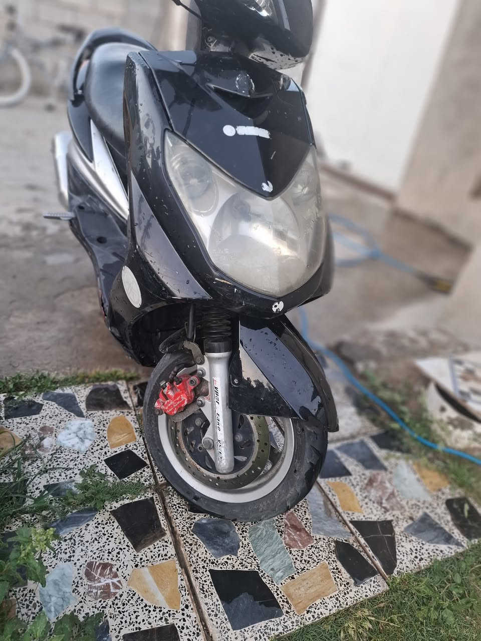 سلام عليكم
سگنس فحل  طلاعات 
للعلم الدراجه كابريتر 
ضفيره جديده مو تلزيگ
الدراجه كلش قويه 
بيها كلچات الامامي دوش 
والخلفي مامعروف بس قوي 
وبيها صالنصه وزه وطره حلوه 
وشمعه رياضي 
الباقي كله بلاد 
كلشي بيها شغال 
شلعه ومعدل قويه 
مكانها بغداد 
***********
موجود واتس ورصيد وماسنجر
