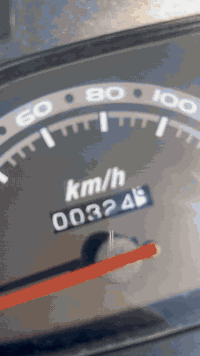 فراشة ياباني • محرك أصلي • ديوانية