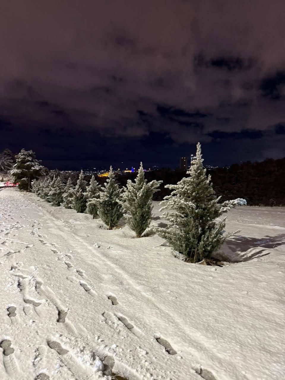 أحجز الآن ويا خانقين تراڤل
لرحلة ثلجية مميّزة 😃 ☃️❄️
✅يوم الجمعه تاريخ 30/1/2026✅
1- جبل ازمر ⛄️❄️🗻
2-جافي لاند 🎢
3-فاملي مول🛒
4-استراحة مطعم🧑‍🍳

💰 سعر النفر  13 الف 
🚌 باص خاص للعوائل
🚌 وباص خاص للشباب (يدلوون علينه 😉)

⚠️ العدد محدود
احجز  الان قبل اكتمال العدد

🔔 يغلق الحجز يوم الاربعاء تاريخ  (28/1/2026)

📞 للاستفسار:***********
