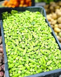 بانية • جديد كل يوم • توصيل لباب البيت