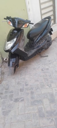 سكنس فحل كوري للبيع سعر ٦٠٠بيهه مجال يريد يراسل وتساب هاث رقم 07749767...