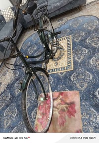 باسكل حاوية • زيتوني • مقاس ٢٦