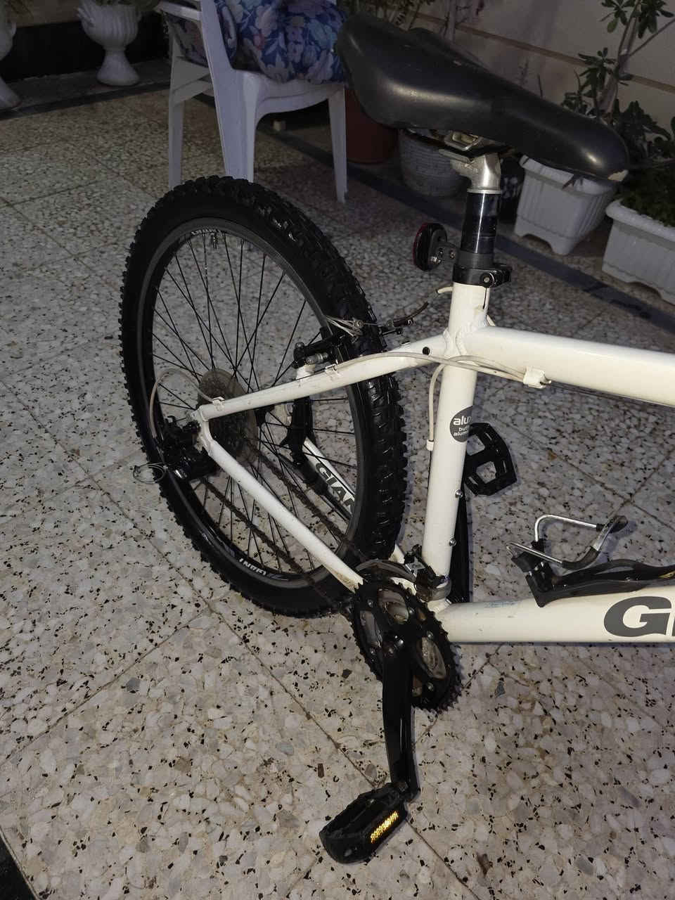 جينتا نضيف بل باكيت  السعر 200 وبي مجال


**إذا كنت صاحب هذا الإعلان وتريد حذفه لأي سبب، رجاءا أرسل رسالة إلى الدعم الفني**