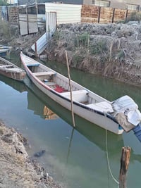 جينكوا فيير • ١٦ ذراع • بصرة أبي الخصيب
