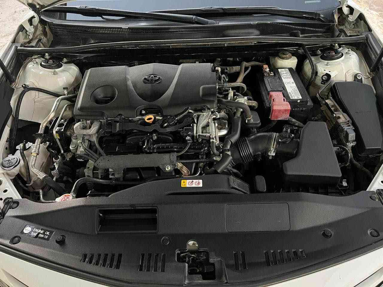 مكلف بالنشر

كامري وارد امريكي ابيض موديل 2019 se  مال بيت نظيفة جدا ماشي 137 الف كيلو متر بدون صبغ تعديل بارد اسفل قبق البانزين گد شبر ميبين بالعين بس بالسونار يبين  وبراغي باب السايق مفتوح فقط بدون ايرباك ويوجد بعض الرصعات معدودة سياره اطارات جديد وصدر ومحرك وكير كله بلاد مامفترح برغي بيها السعر عالخاص او الاتصال 
*********** كركوك, العراق
