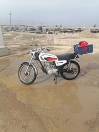 07829894081      07812194466